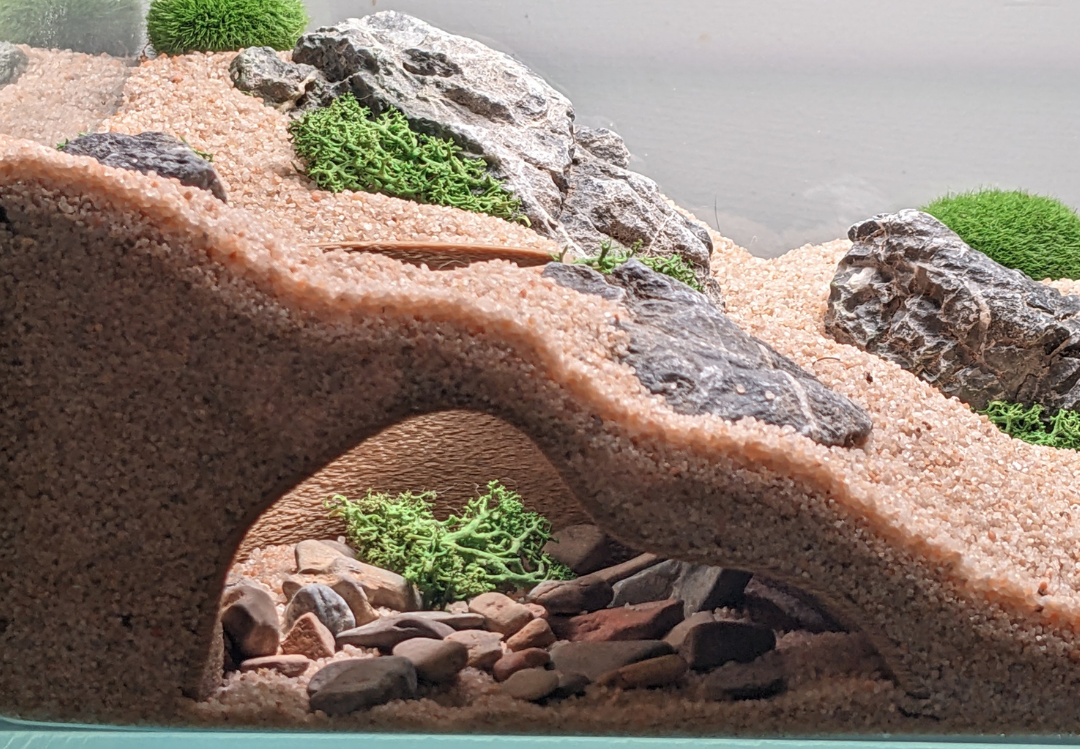 Terrarium Caves