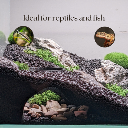 Aquarium and Terrarium Underground Natural Cave
