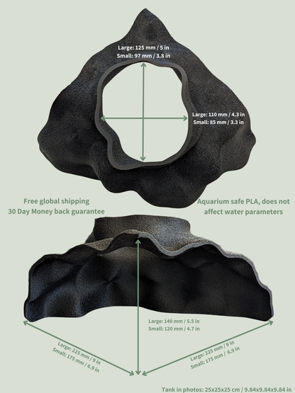The Corner Hollow