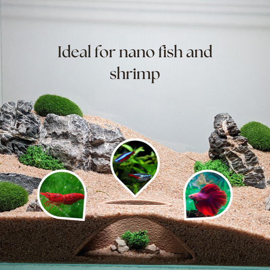 2 Pack Nano Caves