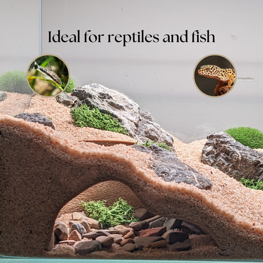 Aquarium and Terrarium Underground Natural Cave