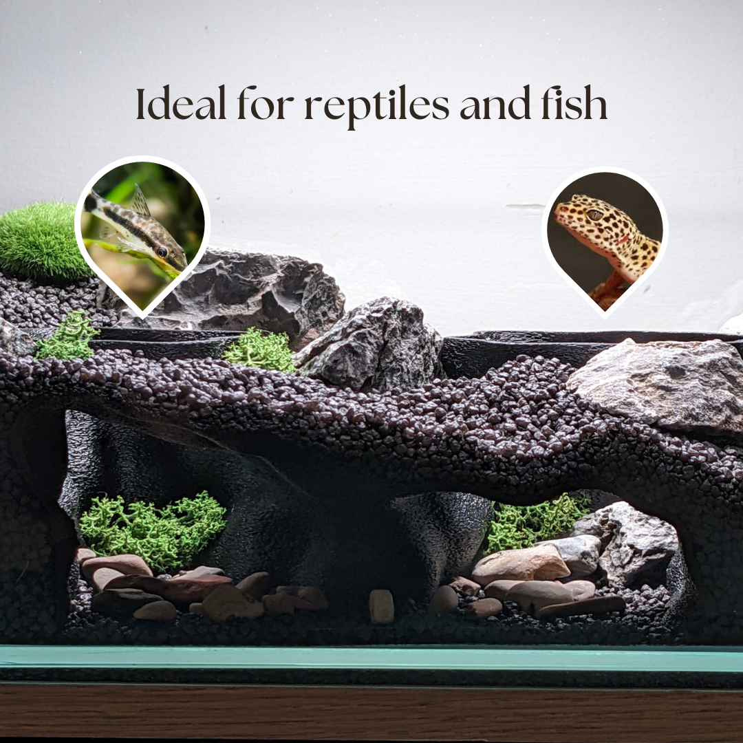 Double Entrance Aquarium and Terrarium Natural Tunnel