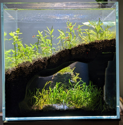 The Corner Hollow