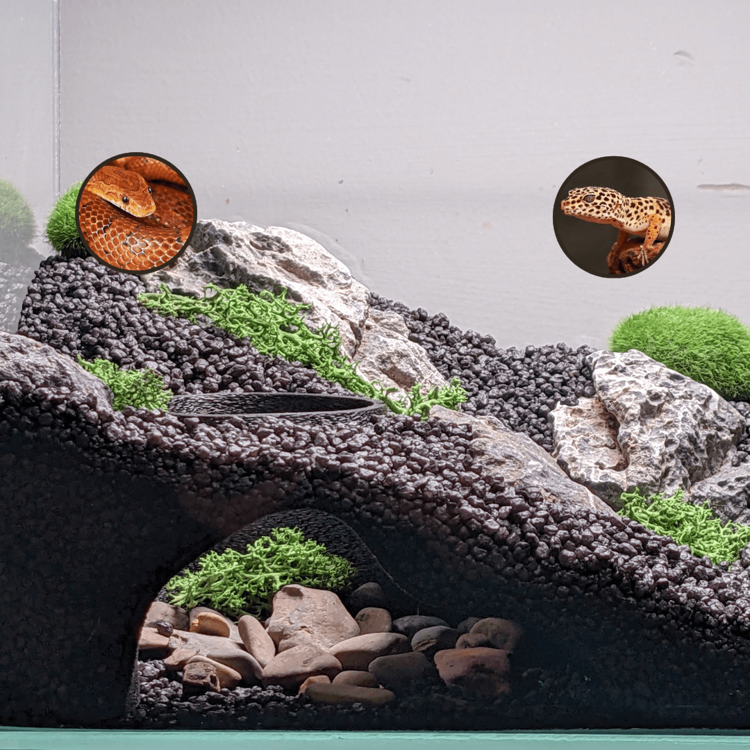 Terrarium And Aquarium Natural Cave - Hollow