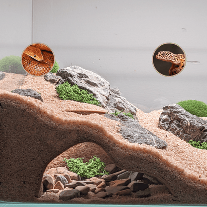 Terrarium And Aquarium Natural Cave - Hollow
