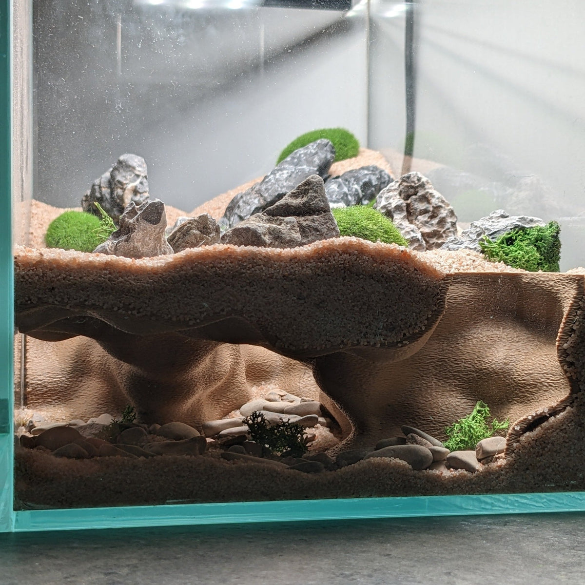 Triple Entrance Aquarium and Terrarium Corner Cave - Leopard Gecko Hide - Hollow